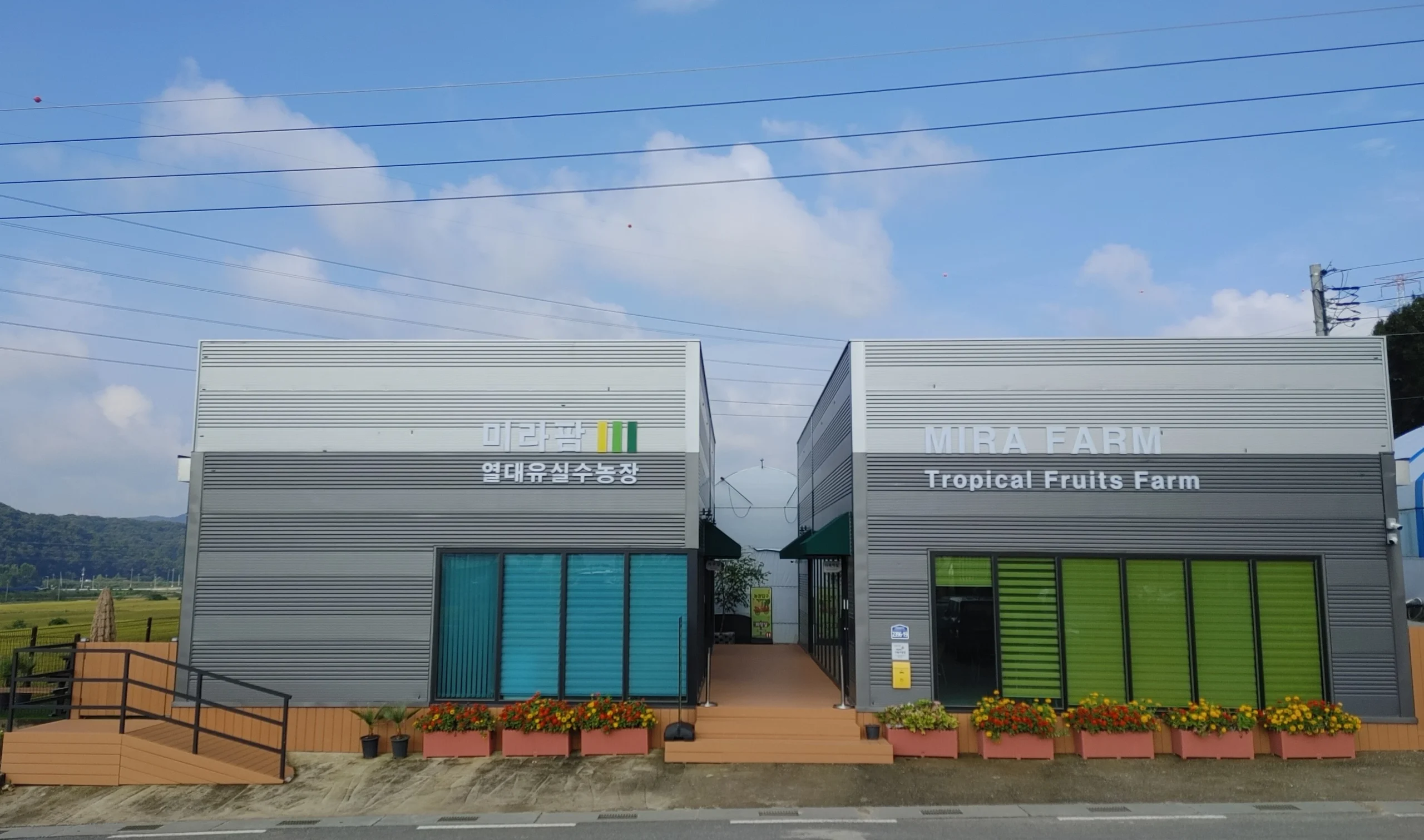 미라팜 전경